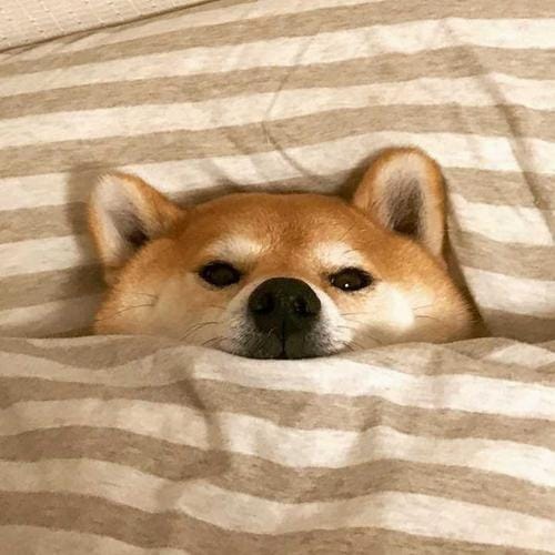 Lê Mỹ Duyên avatar